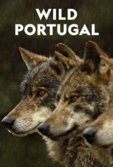 Vahşi Portekiz